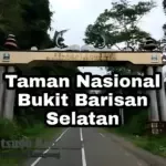 Taman Nasional Bukit Barisan Selatan