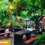 Dapatkan Harga Tiket Masuk Termurah ke Taman Fosil Jati Agung Lampung Selatan!