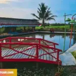Keindahan Spot Foto Instagramable di Wisata Wiralaga Mesuji