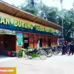 Liburan ke Taman Burung Teluk Bayur di Sidomulyo, Lampung