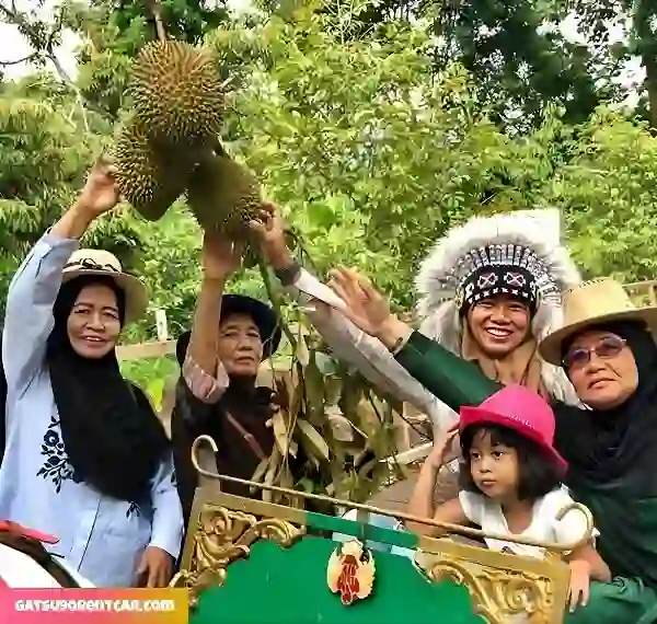 Menikmati Durian Segar -Fasilitas di Kebun Durian Lembah