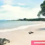 Tarif Tiket Masuk Pantai Sapenan di Kalianda, Lampung Selatan