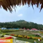 Wisata Citra Sewu Pesawaran, Eksplor Keindahan Wisata Taman Bunga