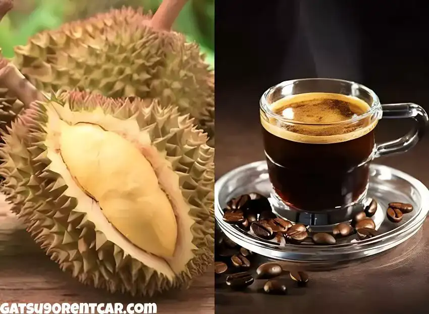 Durian Kopi Luwak - 12 Makanan dan Minuman Khas Lampung