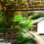 Rasakan Kelezatan Madu Lebah Klanceng dari Suhita Bee Farm di Bandar Lampung