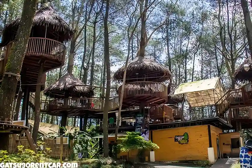 Biaya Tiket Masuk Kopeng Treetop Adventure Park