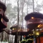 Kopeng Treetop Semarang, Wisata Taman Menyenangkan