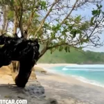 Pantai Sanggar Kalianda Harga Tiket Masuk dan Fasilitas Wisata Lampung Selatan