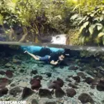 Ingin Berkunjung ke Way Bekhak Tanggamus Lampung Cek Harga Tiket Masuknya Apakah Masih Terjangkau!