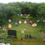 Kampoeng Kopi Banaran Surga bagi Pecinta Kopi