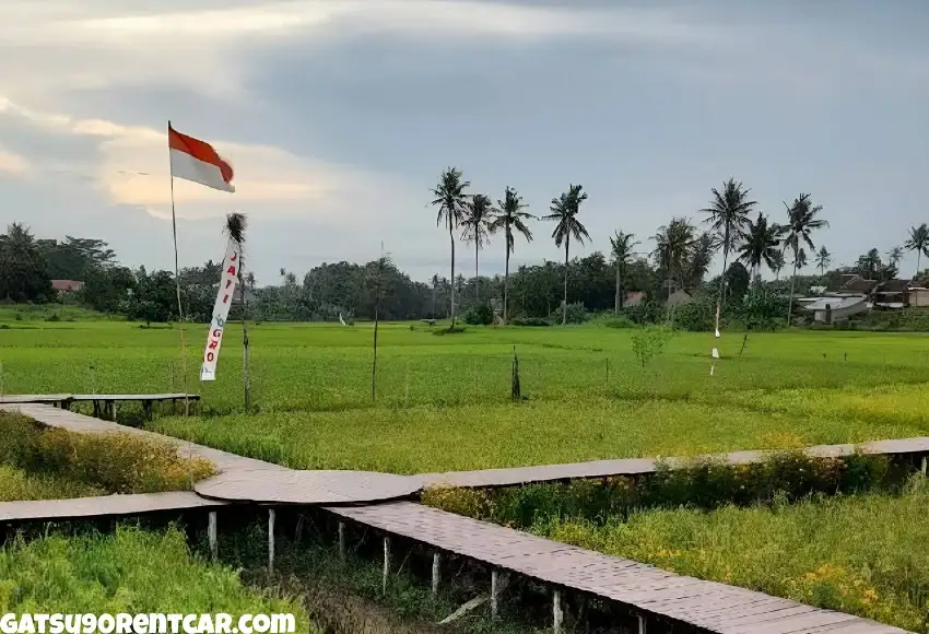 Menikmati Keindahan Jati Agro Farming Destinasi Wisata Terbaik di Jatimulyo Lampung Selatan