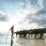 Menikmati Keindahan Pantai Selong Belanak Surga Tersembunyi di Pulau Lombok