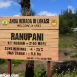 Menikmati Keindahan dan Keasrian di Ranu Pani, Surganya Pegunungan Jawa