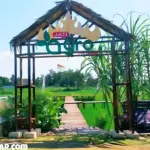 Menikmati Wisata Alam yang Menyegarkan di Jati Agro Farming Jatimulyo Lampung Selatan dengan Tiket Masuk yang Terjangkau
