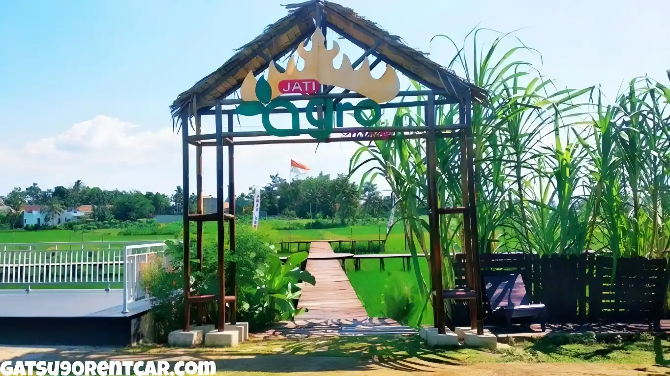 Menikmati Wisata Alam yang Menyegarkan di Jati Agro Farming Jatimulyo Lampung Selatan dengan Tiket Masuk yang Terjangkau