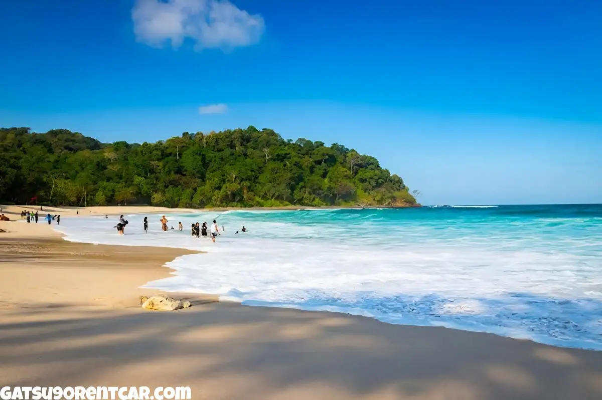 Pantai Tamban Wisata Tersembunyi di Pantai Malang