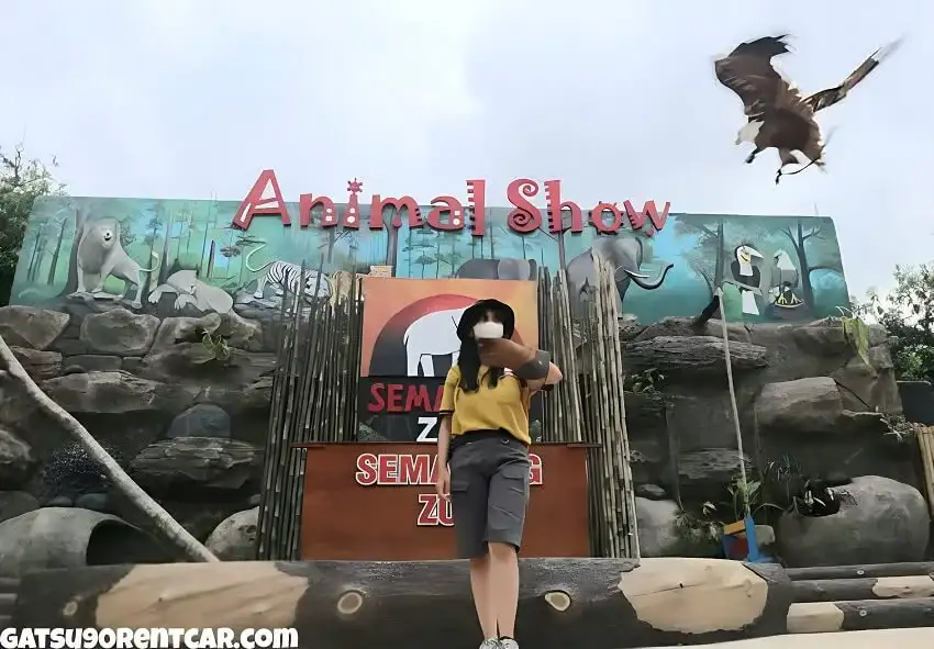 Waktu Operasional Kebun Binatang Semarang