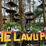 Lawu Park Surga Pemandangan untuk Pecinta Alam dan Pencari Petualangan
