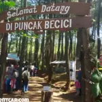 Menakjubkan! Menikmati Keindahan di Puncak Becici