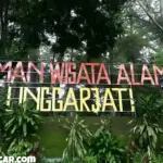 Menjelajahi Keindahan Taman Wisata Alam Linggarjati