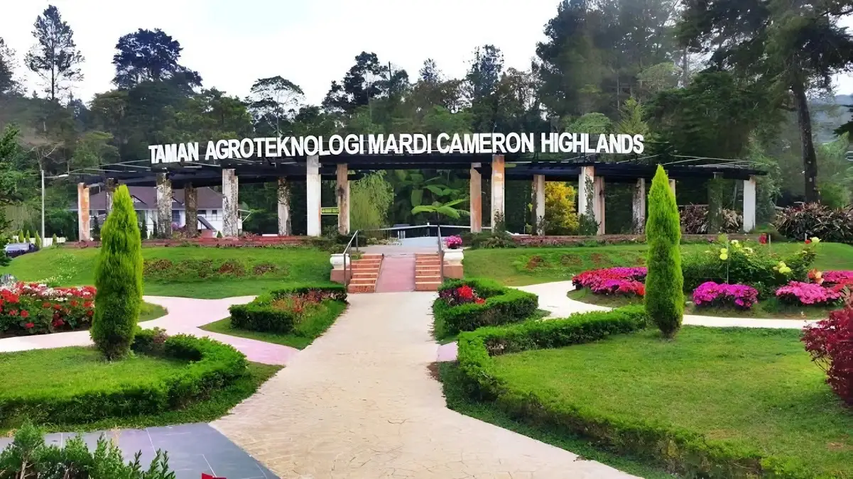 Agro Technology Park Cameron Highland