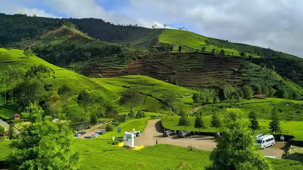 Alamat dan Rute Lokasi Agrowisata Kaligua brebes