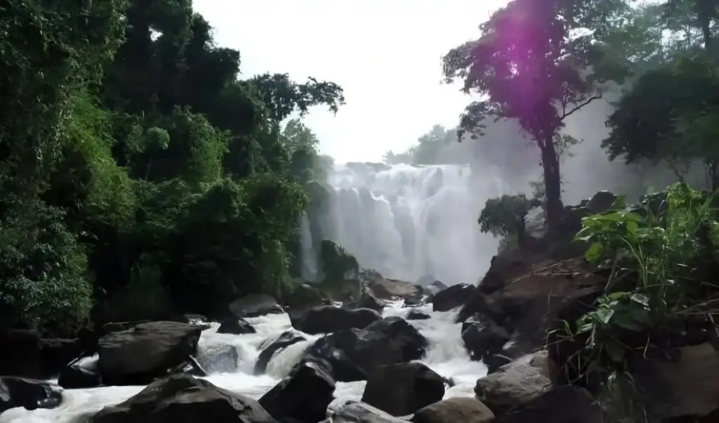 Alamat dan Rute Lokasi Air Terjun Curup Gangsa Lampung