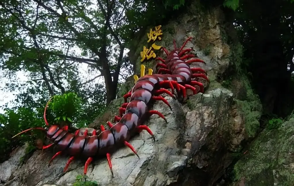 Centipede Temple