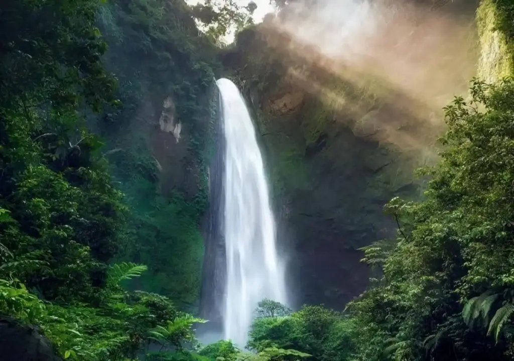 Harga Tiket Masuk Air Terjun Kabut Pelangi Lumajang