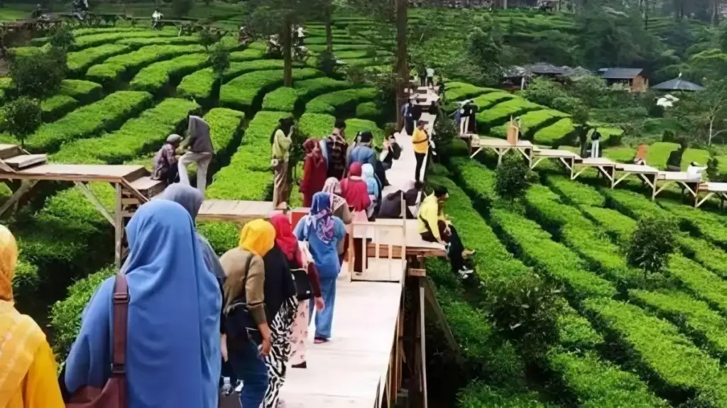 Jam Buka Agrowisata Gunung Mas Bogor