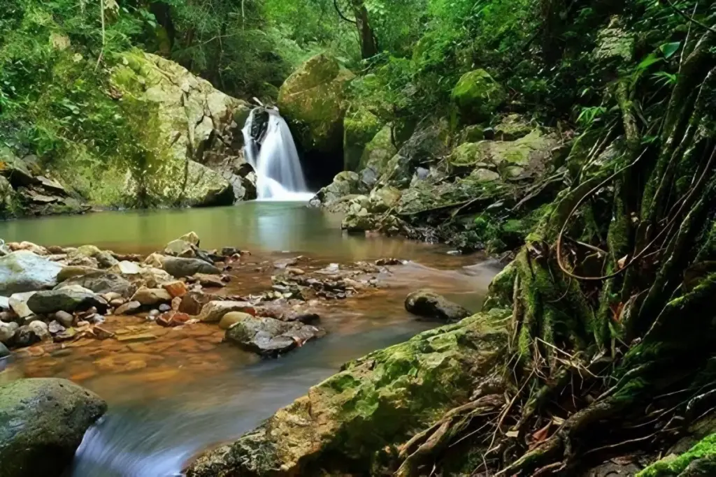 Alamat dan Rute Lokasi Air Terjun Ncanga Tolu Dompu NTB