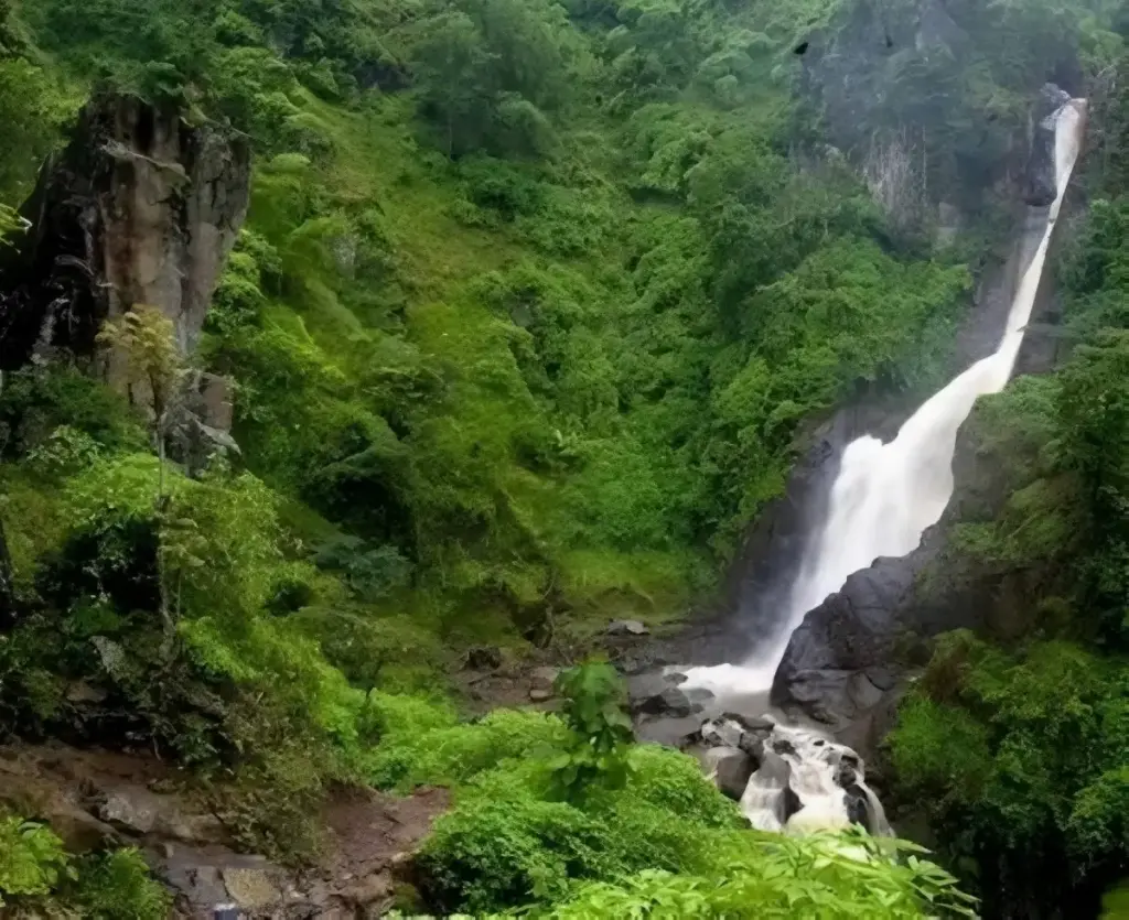 Fasilitas Air Terjun Pletuk Ponorogo