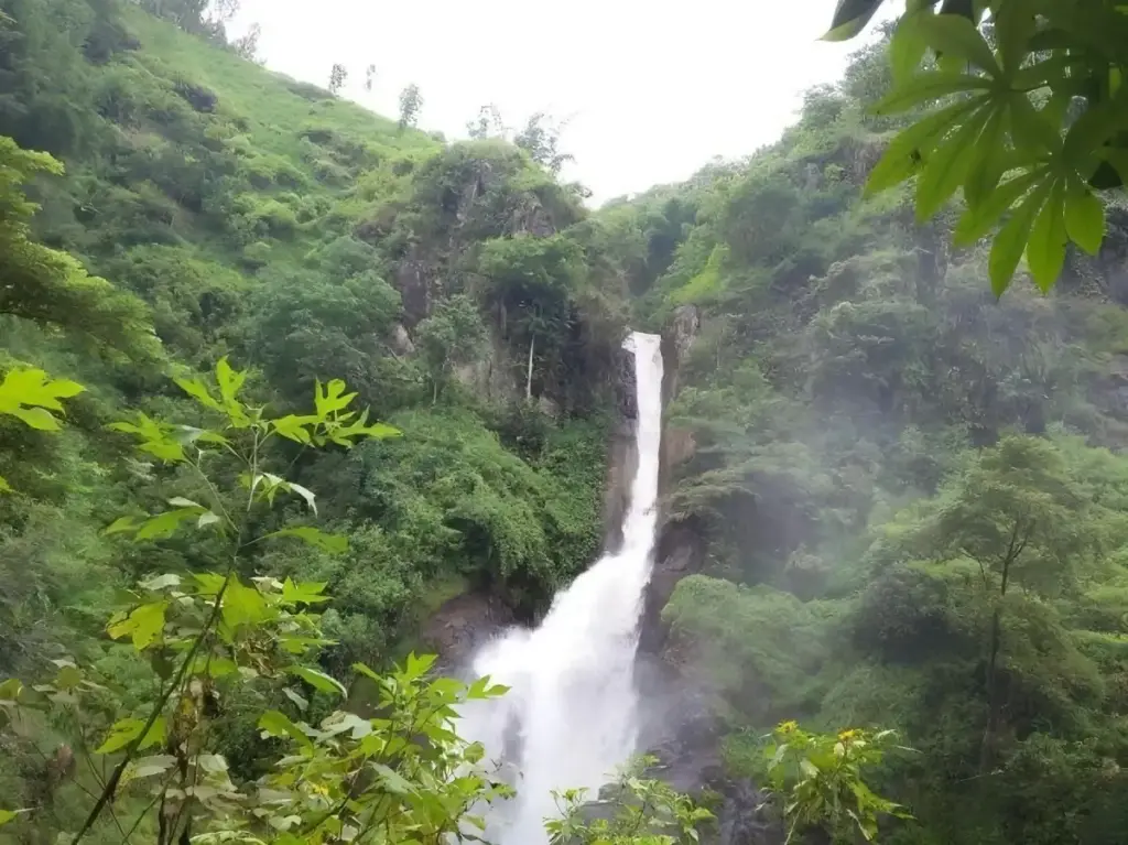 Harga Tiket Masuk Air Terjun Pletuk Ponorogo