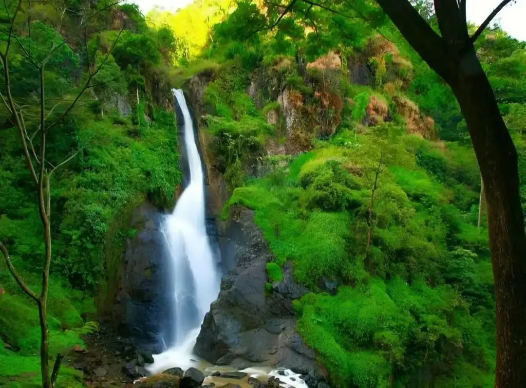 Spot Wisata di Air Terjun Pletuk