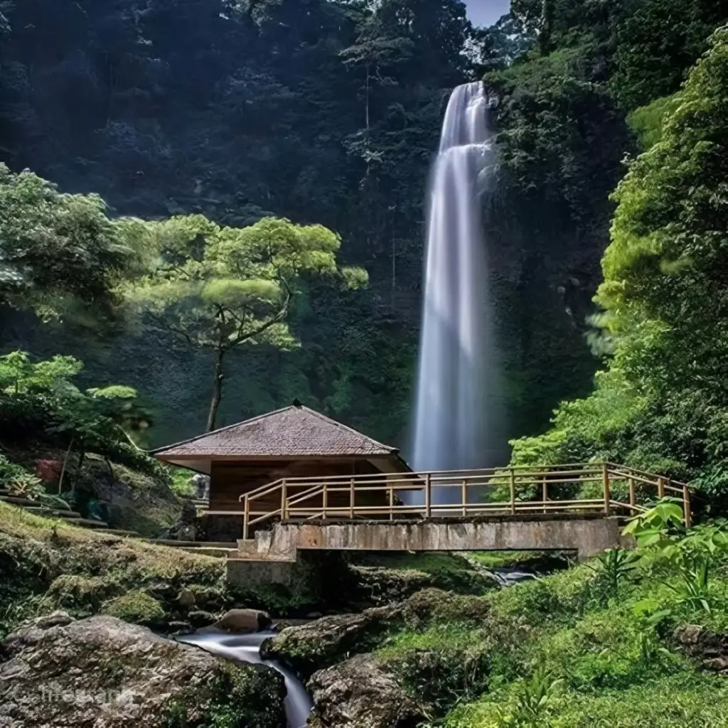 Tips Berkunjung Air Terjun Pletuk Ponorogo