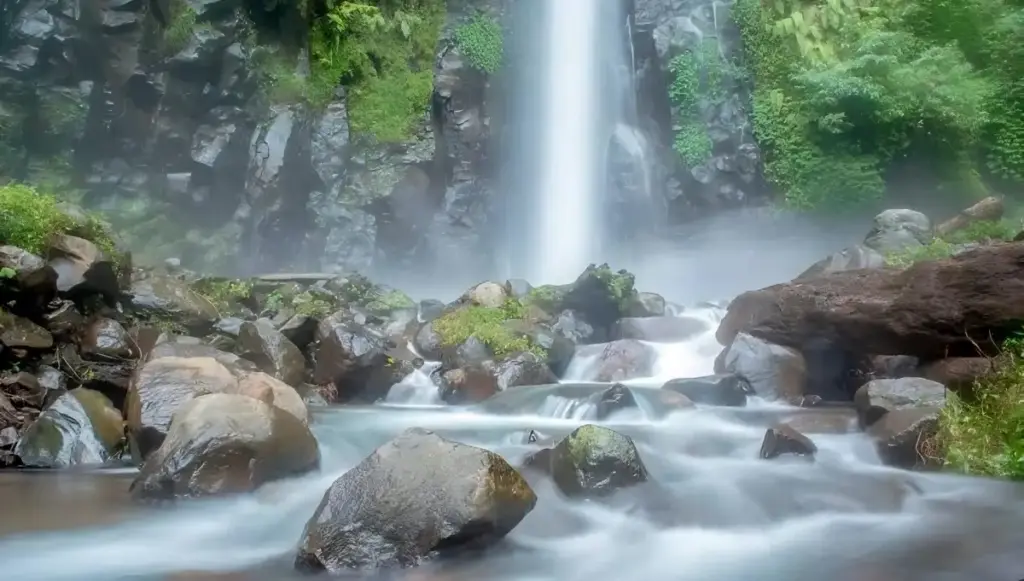 Alamat dan Rute Lokasi Air Terjun Tancak Jember