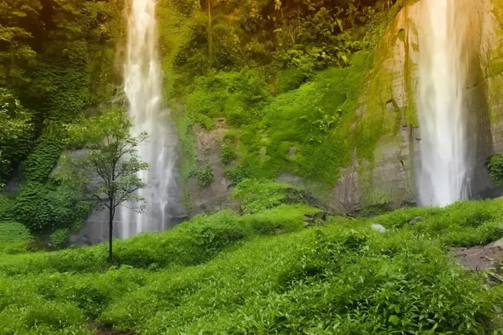 Alamat dan Rute Lokasi Air Terjun Tancak Kembar Bondowoso