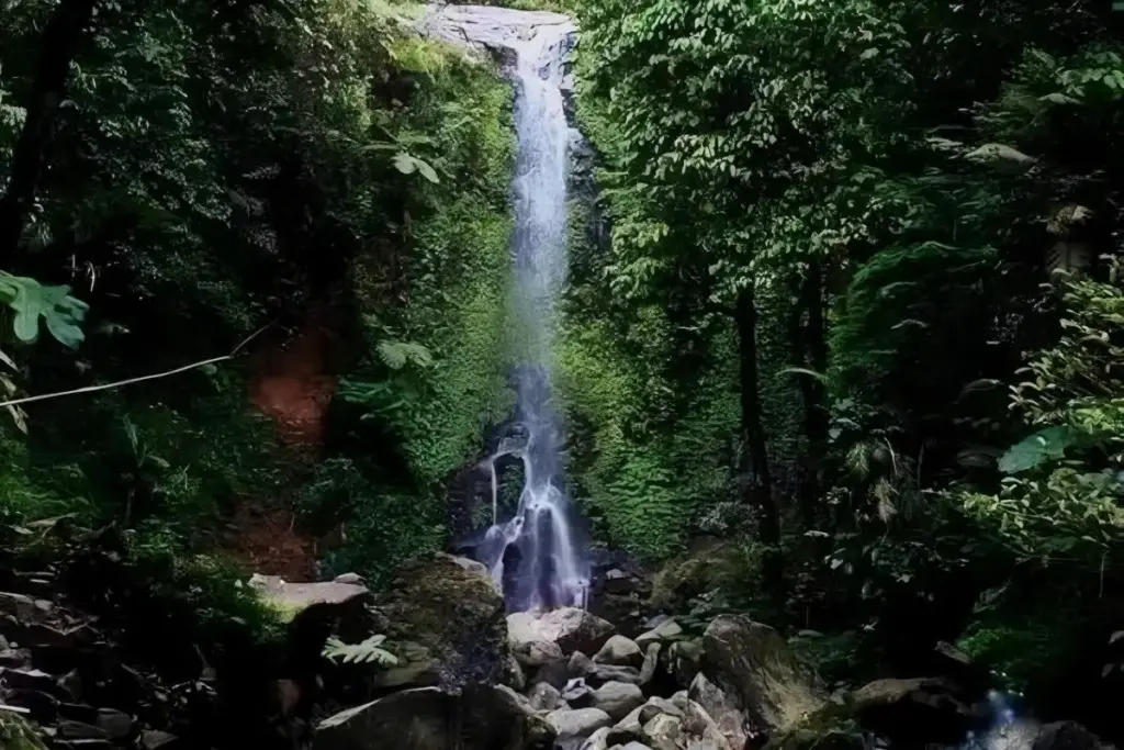 Spot Wisata di Air Terjun Suwono