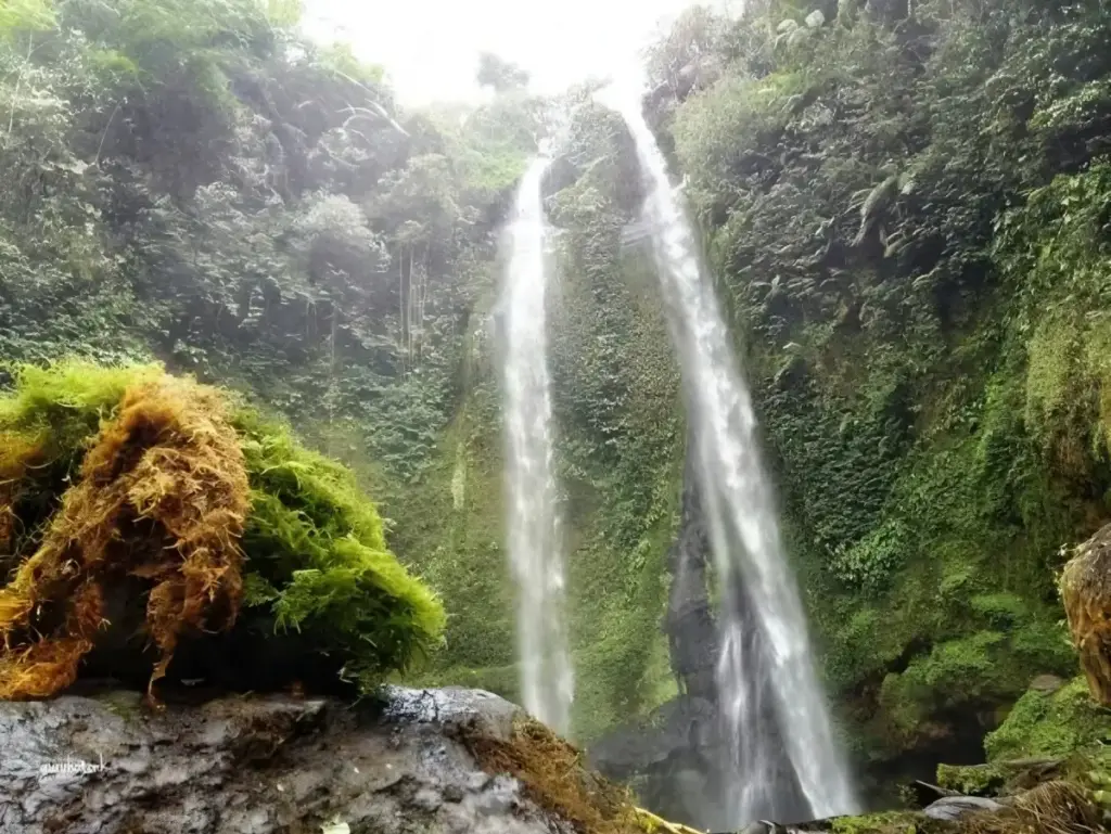 Alamat dan Rute Lokasi Air Terjun Tiu Teja