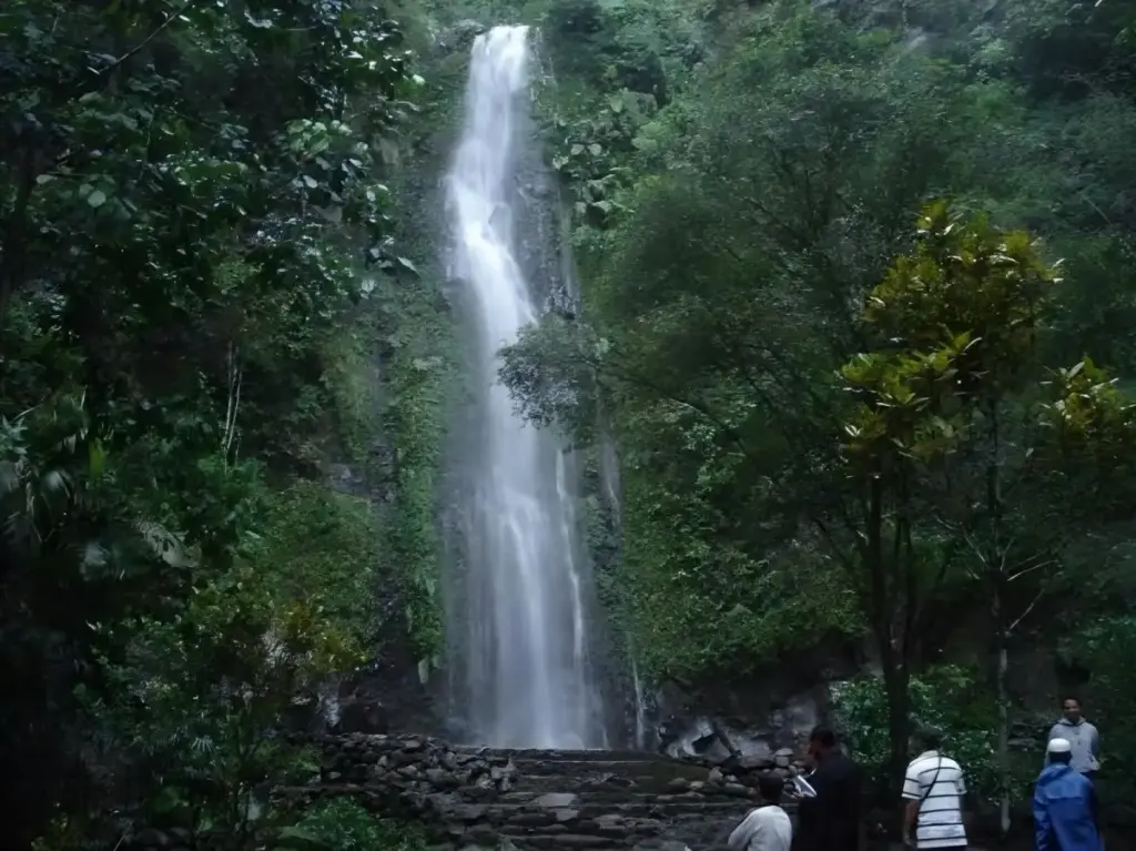 Alamat dan Rute Lokasi Air Terjun Tlogo Muncar