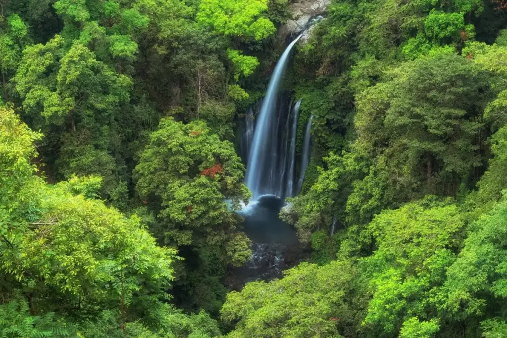 Harga Tiket Masuk Air Terjun Tiu Kelep