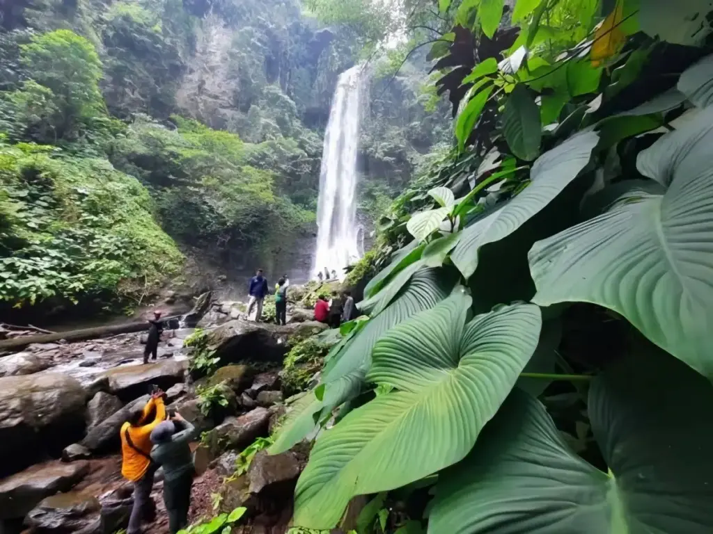 Fasilitas Air Terjun Way Tayas