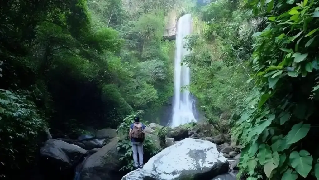 Harga Tiket Masuk Air Terjun Way Tayas