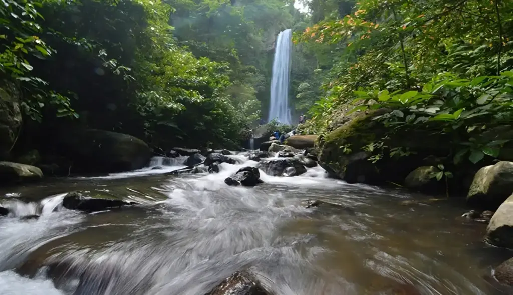 Tips Berkunjung Air Terjun Way Tayas