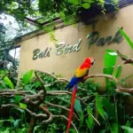 Bali Bird Park