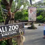Bali Zoo