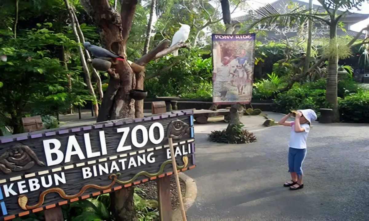 Bali Zoo