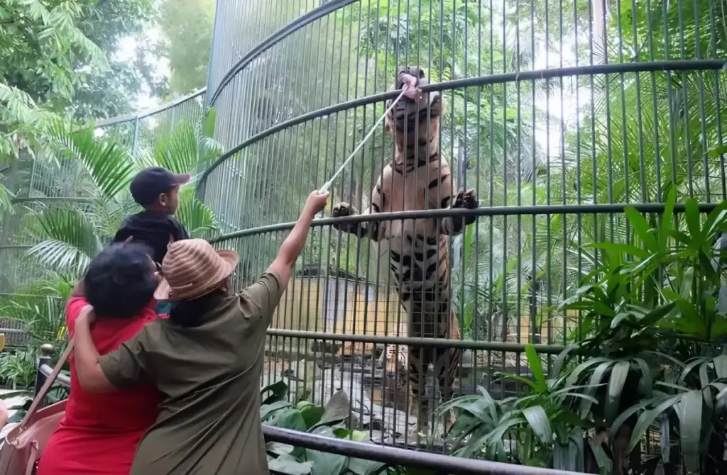 Spot Wisata di Bali Zoo