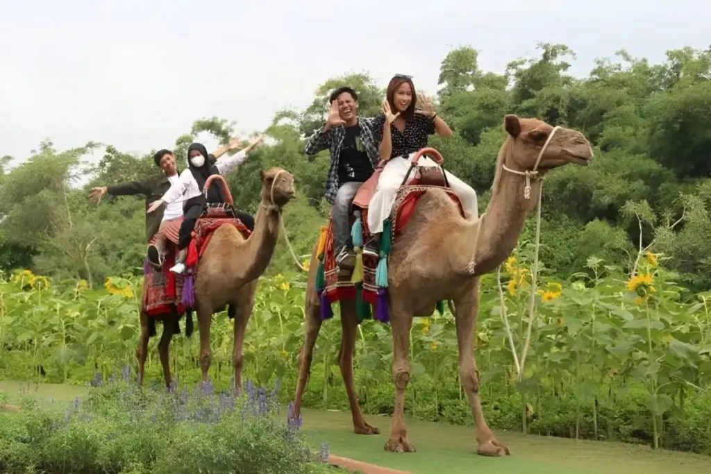 Batu Love Garden Malang 6 Spot Wisata di Baloga Batu Love Garden